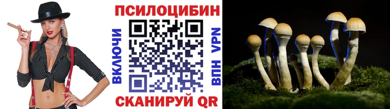 Галлюциногенные грибы MAGIC MUSHROOMS  Правдинск 